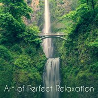 Lulling Rain Paradise - Odyssey for Relax Music Universe