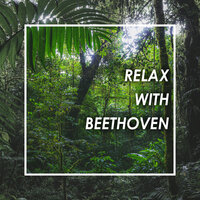  Symphony No.9 In D Minor, Op.125 - "Choral" - 1. Allegro ma non troppo, un poco maestoso - Sinfonieorchester des Bayerischen Rundfunks & Staatskapelle Dresden & Members of the Kirov Orchestra, Leningrad & Members Of The London Symphony Orchestra & Members Of The New York Philharmonic & Members of the Orchestre de Paris & Leonard Bernstein & Ludwig van Beethoven
