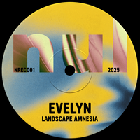 Landscape Amnesia - Evelyn & Sandbag