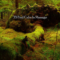 Buddhist State Of Mind - Classical Study Music