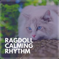 A Pussycat Needs Some Relaxation - Music For Cats