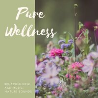 Relax Escape Meditate - Calming Music Academy
