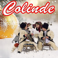 Colindam de veste mare - Mihaela Belciu