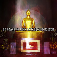 Исцеление разумом - Buddhist Meditation Music Set