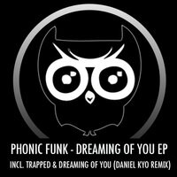 Dreaming of You - Phonic Funk