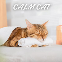 Create - Cat Relaxing Master