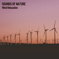 Windy Spring Again - Weather and Nature Recordings & Nature Recordings & Amazing Spa Experience