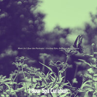 Exciting Music for Days at the Spa - 1 Hour Spa Curation