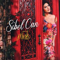 Şeytana Uyduk Bir Kere - Sibel Can