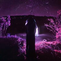 FRACTALS - Sidewalks and Skeletons