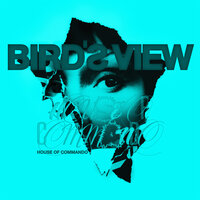 What It's Like - Bird's View