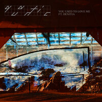 You Used to Love Me - Quantic & Denitia & Alfa Mist