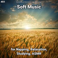 Soft Music Pt. 29 - Relaxing Music by Thimo Harrison & Yoga & Relaxing music