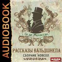 Мопассан Ги де. «Рассказы вальдшнепа. Сборник новелл». Часть 17 - Наталья Первина