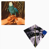 Shoulder Mountain - Andrew Bird