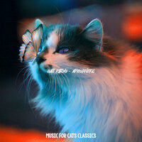 Casual (Cute Kittens) - Music for Cats Classics