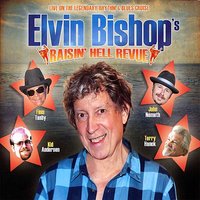 Down in Virginia - Elvin Bishop & John Nemeth & Finis Tasby