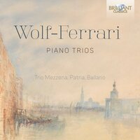 Piano Trio No. 1 in D Major, Op. 5: I. Allegro molto moderato - Franco Mezzena & Sergio Patria & Elena Ballario