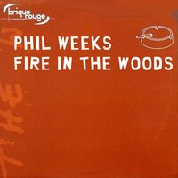Fire in the Wood - Phil Weeks