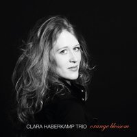 This Suits Me - Dan Peter Sundland & Tilo Weber & Clara Haberkamp Trio