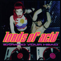 Rough Sex - Lords Of Acid & Critter