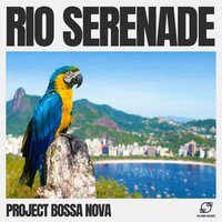 Velvet Harmony - Project Bossa Nova