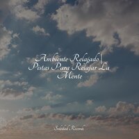 Llamadas De Serenidad - Especialistas de Musica para Dormir & Musica Relajante Para Dormir & Naturaleza
