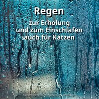 Regengeräusche für Autogenes Training - Regengeräusche Harald Genk & Regengeräusche & Naturgeräusche