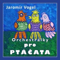 Zahradníkův rock - Jaromír Vogel & Vogel music orchestra