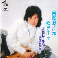 美麗的時光 - Lisa Wong
