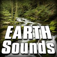 Rainforest Daytime Birds and Insects - Sounds Of The Earth