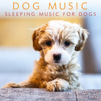 Relaxing Music for Pets - Pet Jones