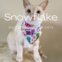 Snowflake - Forest