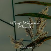 Siempre Consciente - Musica Relajante Para Dormir & Lluvia & Piano para Relajarse