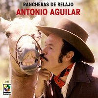 Como Araña Pisada - ANTONIO AGUILAR