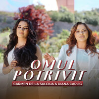Omul potrivit - Carmen de la Salciua & Diana Cârlig