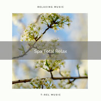 Perfect Cicadas and Unheard Music for Spa pt. 2 - Spa Music Hour