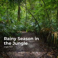 Wildlife Rainy Season - Nature and Rain & Deep Rain Sampling & Jungle Rain