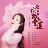 爱你就像天山的雪莲 - 红蔷薇