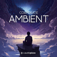Corporate - AudioPizza