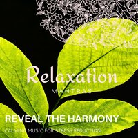 Cure for Schizophrenia - Massage Tribe & Calm music & Zen Healing Melodies