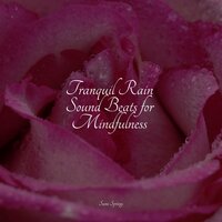 Birds in Rainforest Paradise - Rain Sounds Sleep & Rain Spa & 125 Nature Sounds