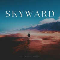 Incompressible - Relaxing Mode