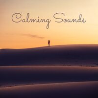 Birds Are Free - Healing Music Spirit & Calming Sounds & Calming Music Sanctuary