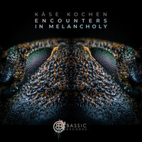 Shiver - Kase Kochen & Monotreme