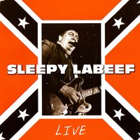 There´s a Leak - Sleepy LaBeef