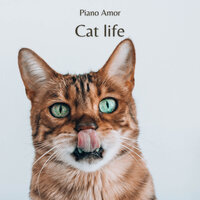 Cat Life - Piano Amor