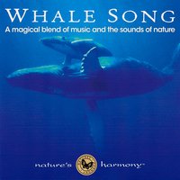 Save the Whales - Nature's Harmony