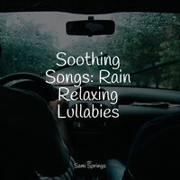 Birdsong in the Wind - Trouble Sleeping Music Universe & White Noise Relaxation & The White Noise Zen & Meditation Sound Lab