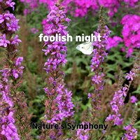 second home - Nature's Symphony